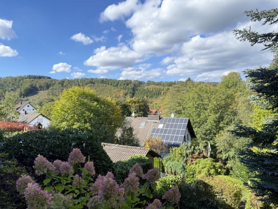Blick ins Gr�ne Doppelhaush�lfte Hagen