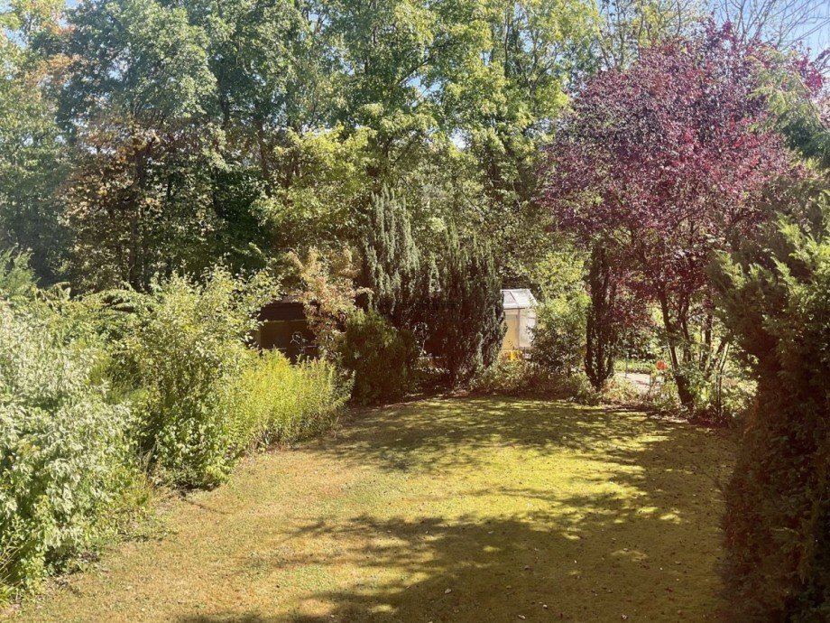 Blick in den seitlichen Garten Einfamilienhaus Hagen