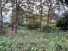 Hauptbild Sch�nes Baugrundst�ck in ruhiger Waldrandlage!