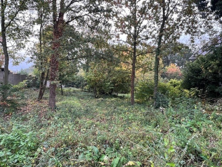 Grundst�ck Hagen - Haspe Wohngrundst�ck Sch�nes Baugrundst�ck in ruhiger Waldrandlage!