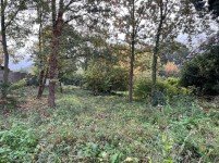 Hauptbild Sch�nes Baugrundst�ck in ruhiger Waldrandlage!