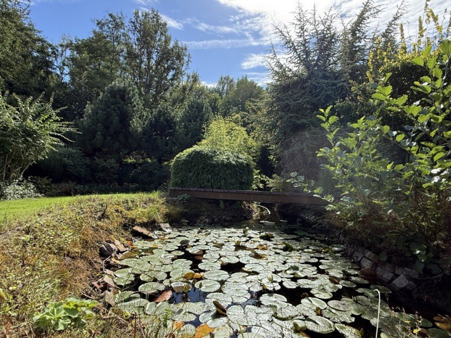 Gartenteich Doppelhaush�lfte Herdecke