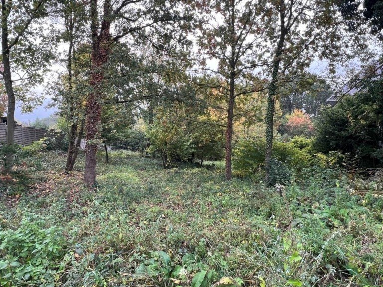 Grundst�ck Hagen - Haspe Wohngrundst�ck Sch�nes Baugrundst�ck in ruhiger Waldrandlage!